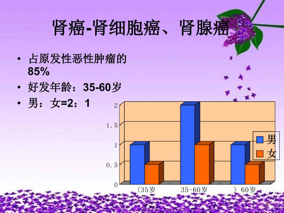 肾癌病人的护理.ppt_第2页