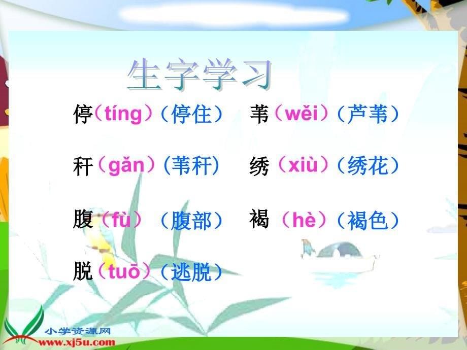 （北师大版）三年级语文上册课件翠鸟_第5页