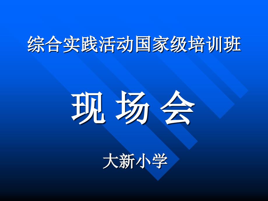 大新小学综合实践活动课件_第1页