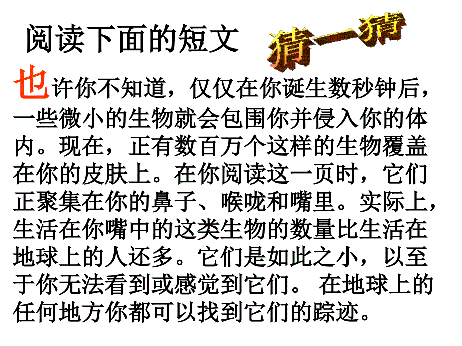 上细菌和真菌的分布.ppt_第2页