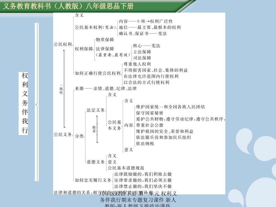 最新八年级政治下册第一单元权利义务伴我行期末专题复习课件_第3页