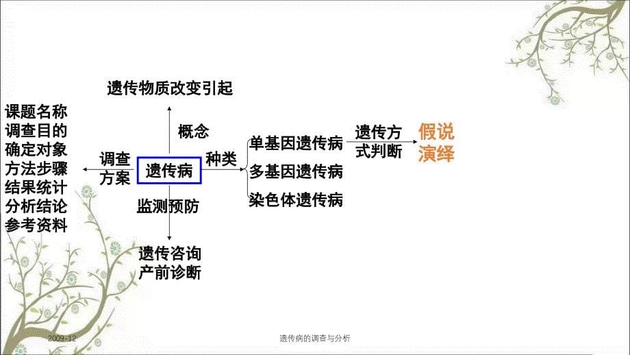 遗传病的调查与分析_第5页