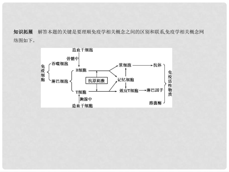 高考生物一轮复习 专题17 免疫调节课件_第3页