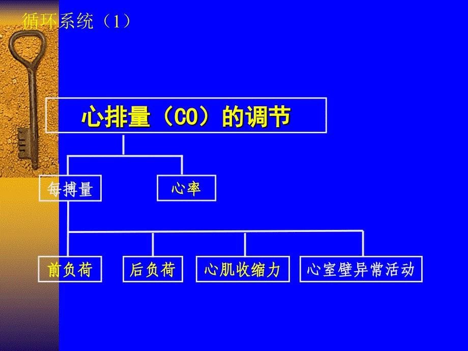 a重症测治疗与复苏王义军_第5页