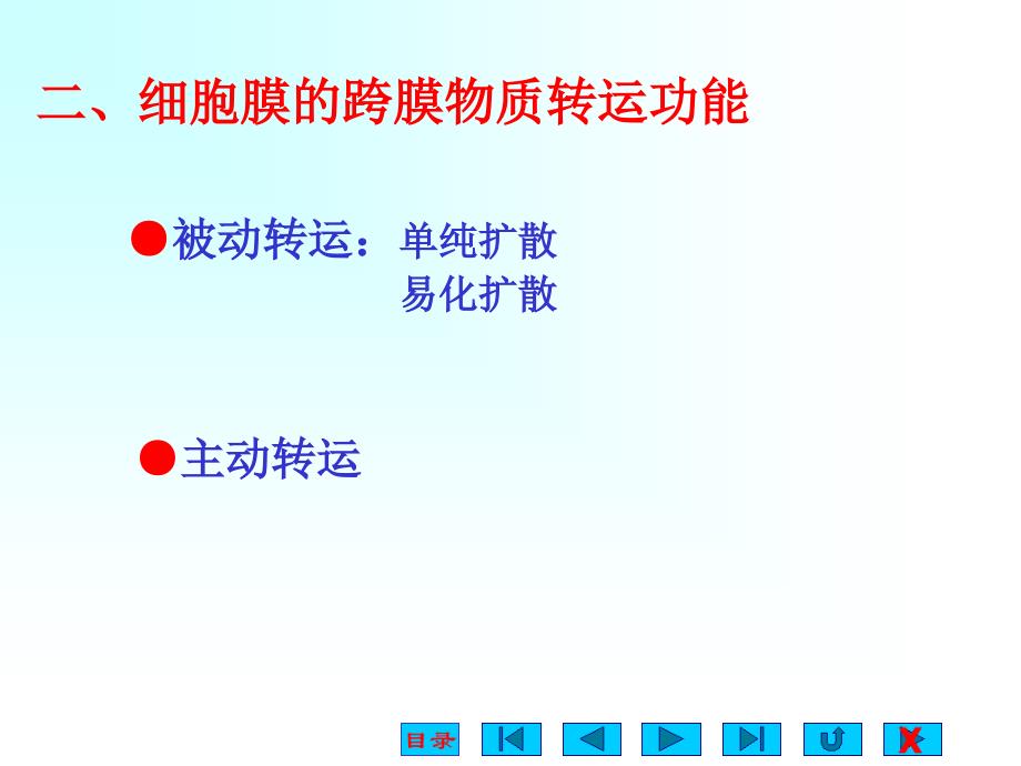 《教案神经肌肉》PPT课件.ppt_第4页