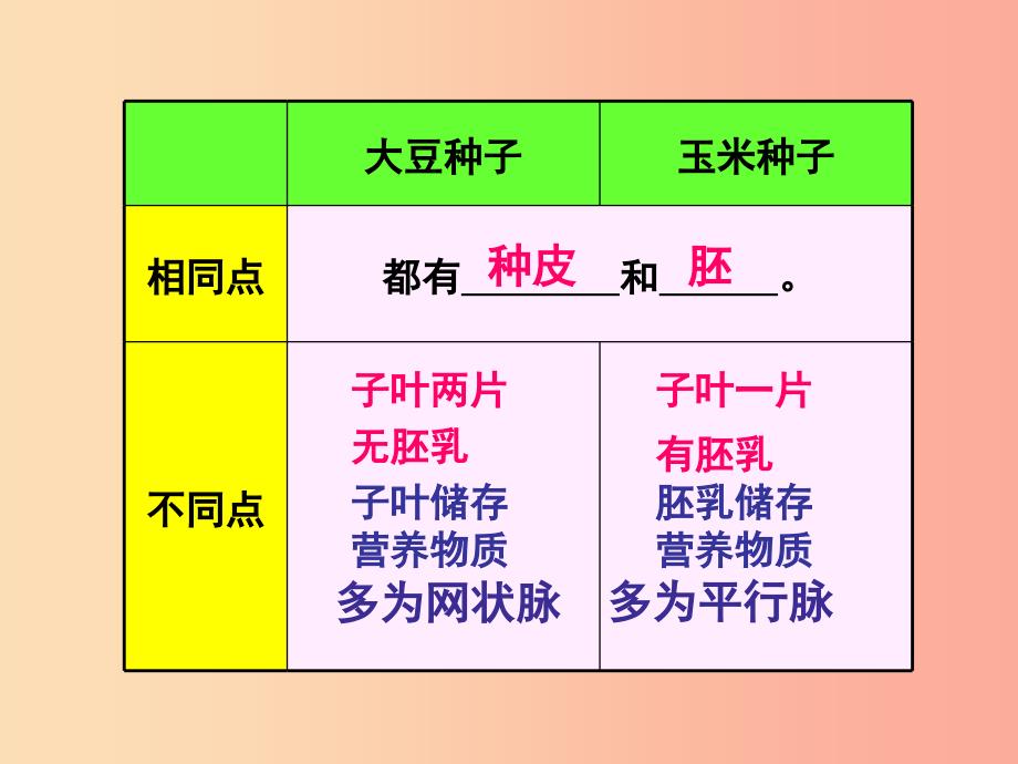 2019年七年级生物上册3.2.1种子的萌发课件2 新人教版.ppt_第4页