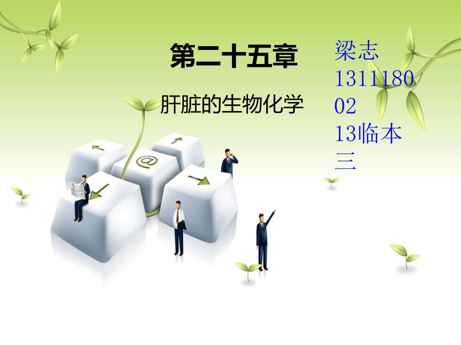 生物化学之肝脏的生化经典版.ppt_第1页
