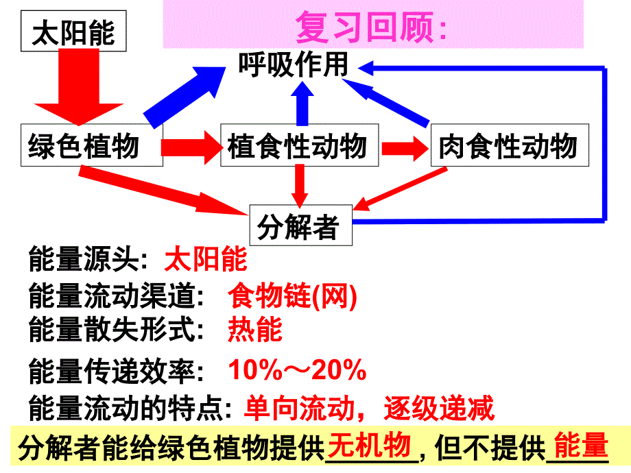 生态系统的物质循环_第1页