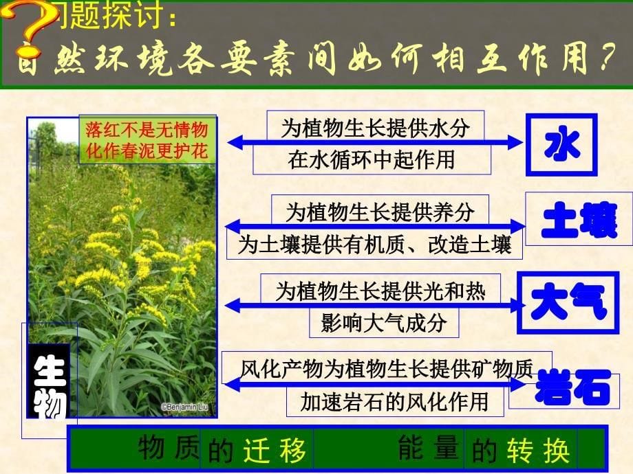 51自然地理环境的整体性_第5页