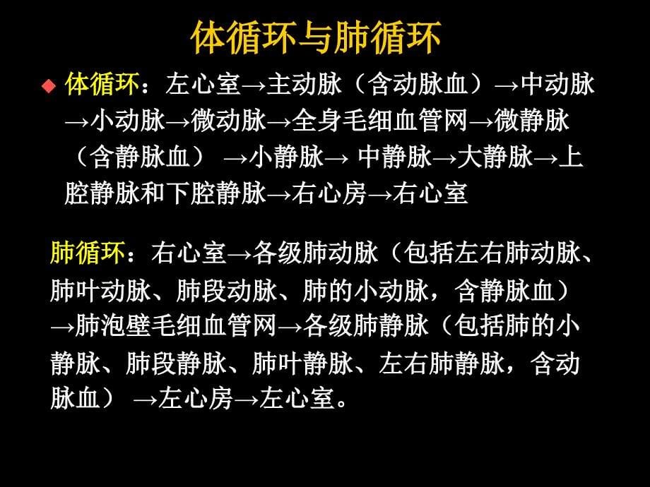 06现代基础医学概论第六章循环系统_第5页