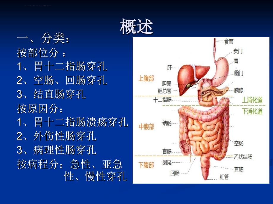 消化道穿孔ppt课件_第3页