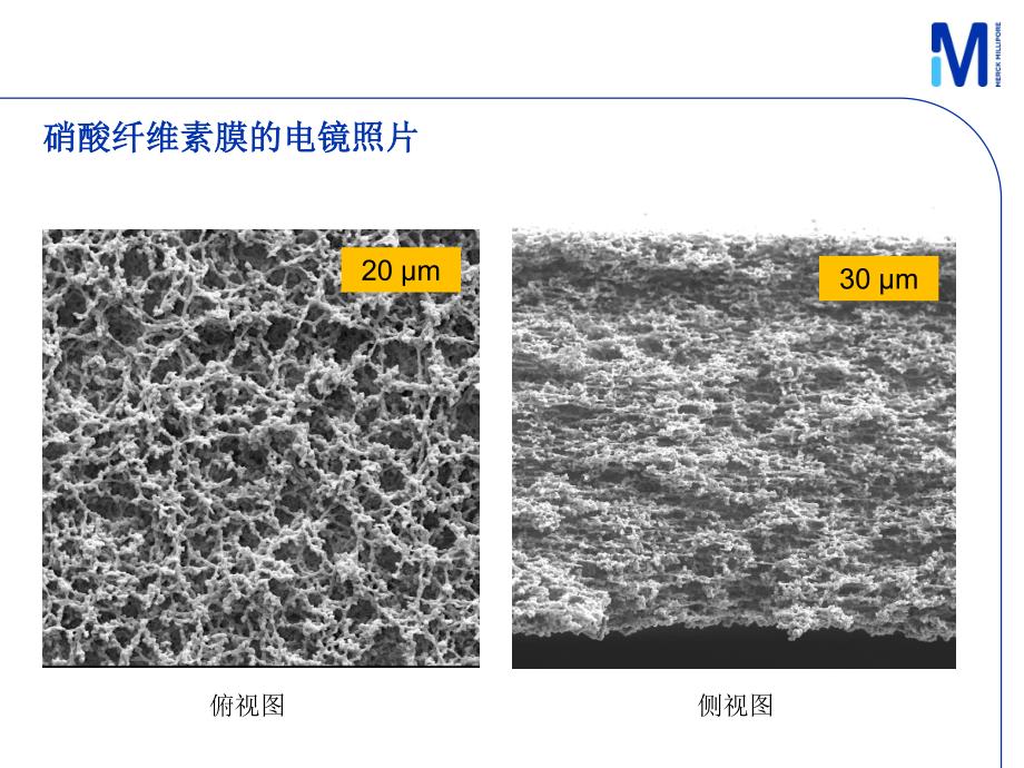 硝酸纤维素膜基础知识.pdf_第3页