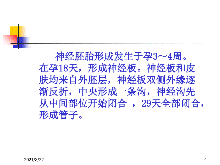 cdc讲稿胎儿神经系统发育推荐课件_第4页