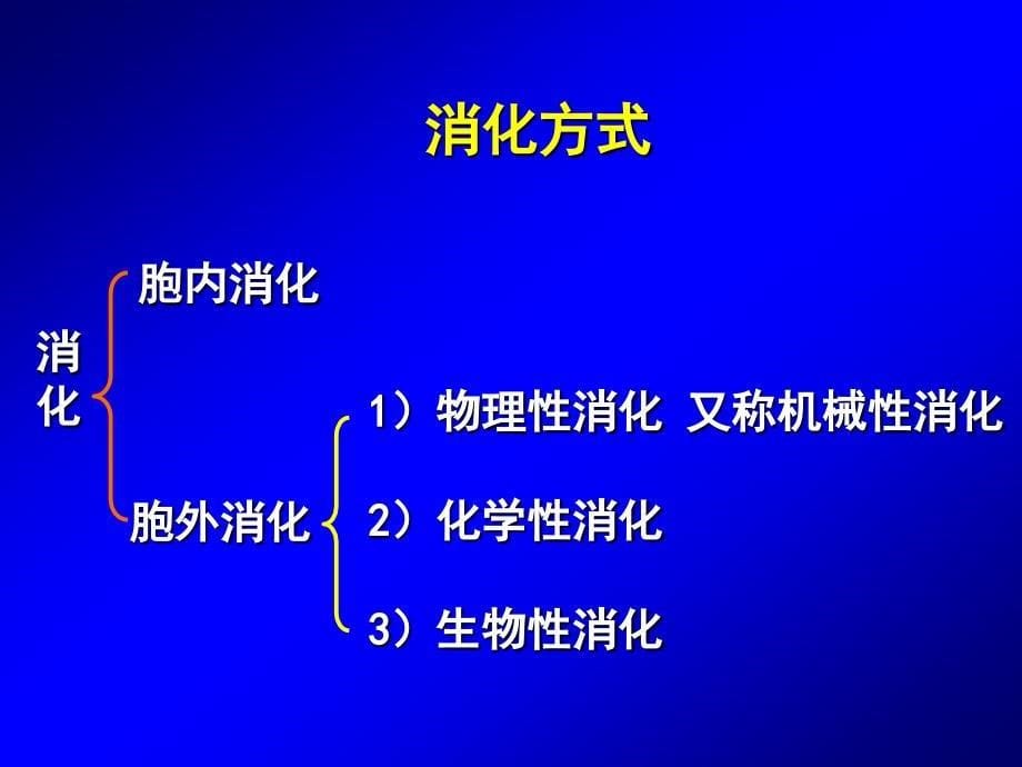 第五章 消化与吸收_第5页