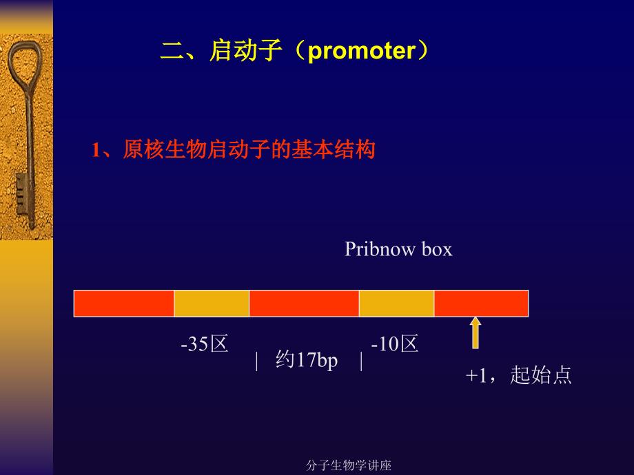 分子生物学讲座课件_第1页