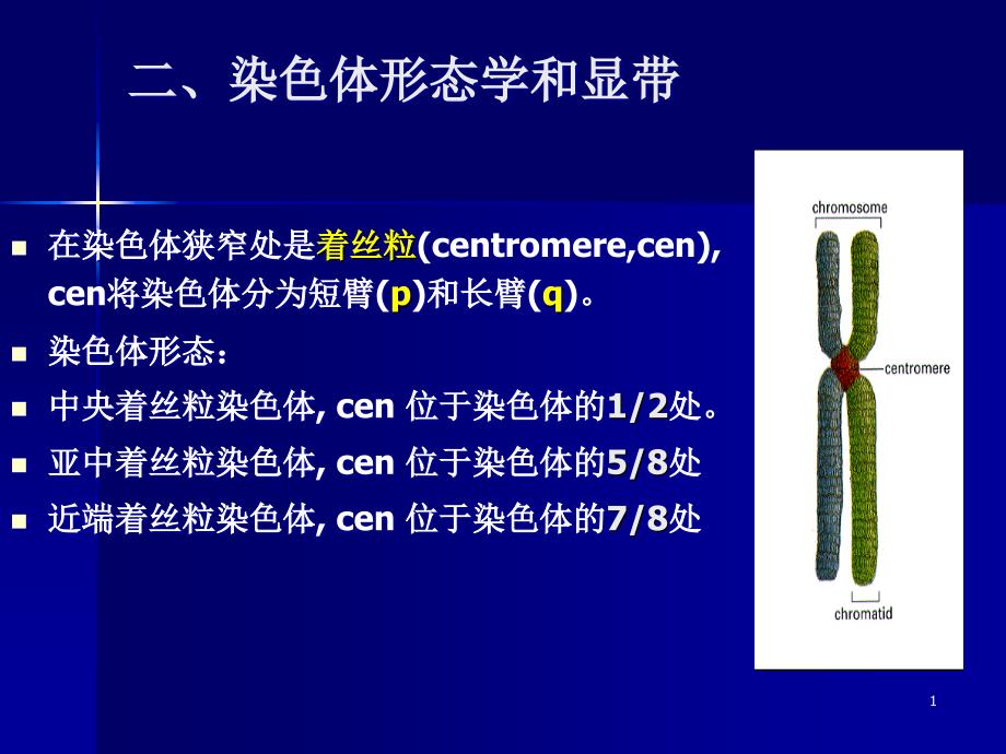 《染色体带型分析》PPT课件_第1页