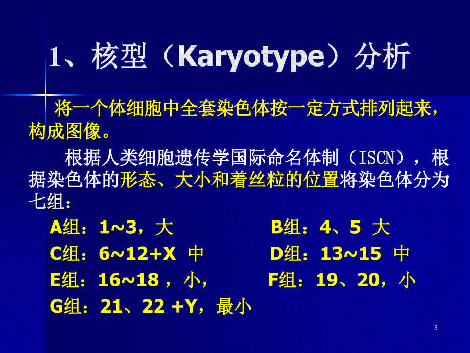 《染色体带型分析》PPT课件_第3页