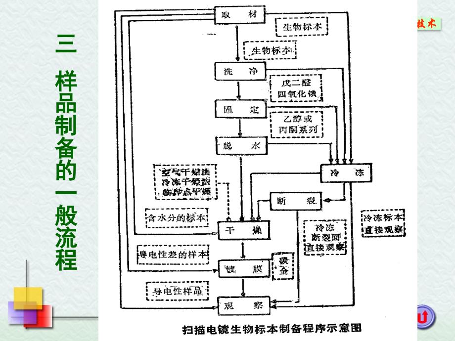 第六章 SEM样品制备技术课件.ppt_第4页