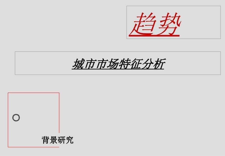 济南山水泉城项目开发战略及执行计划173PPT_第5页