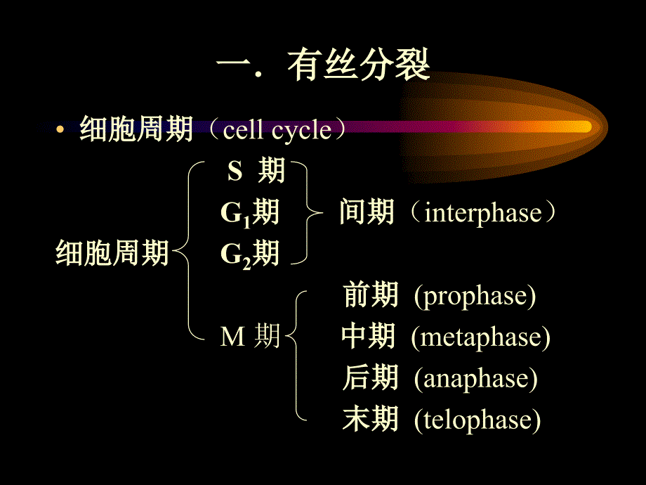 第二部分遗传的染色体学说_第2页