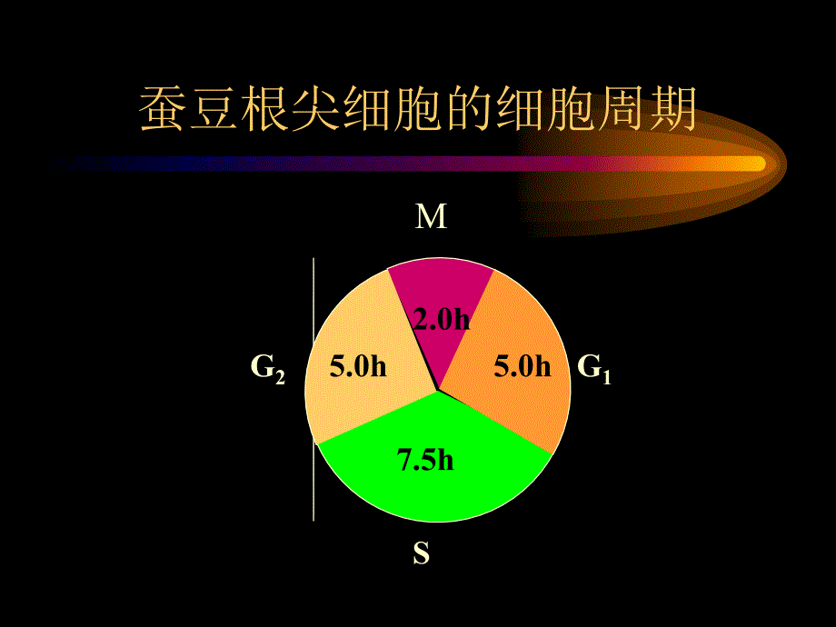 第二部分遗传的染色体学说_第3页