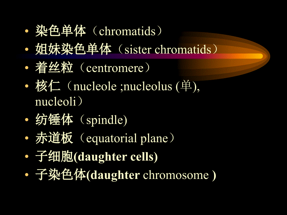 第二部分遗传的染色体学说_第4页