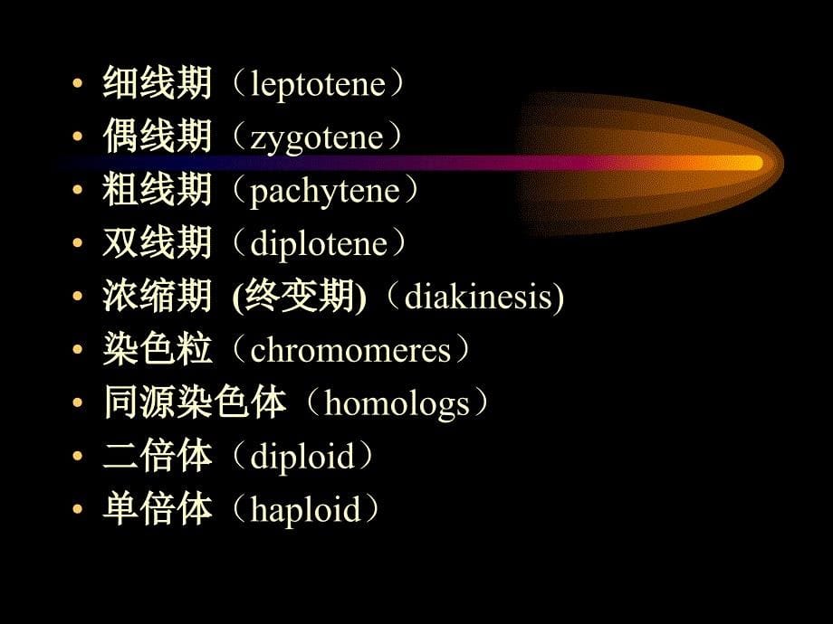 第二部分遗传的染色体学说_第5页