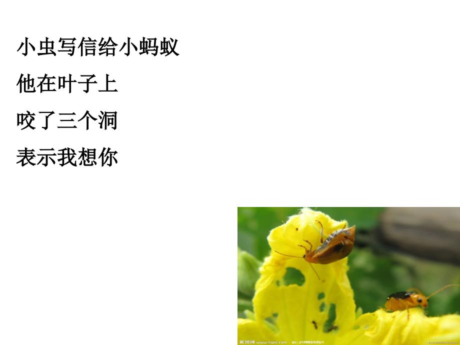 晨诵.不学写字有坏处_第3页