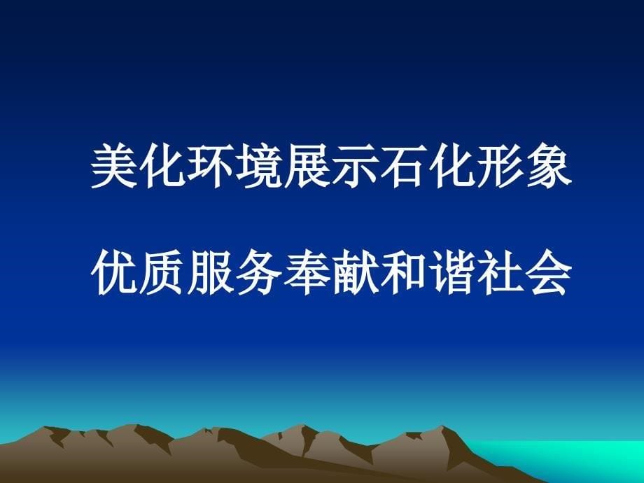 中国石化加油站员工培训课件.ppt_第5页