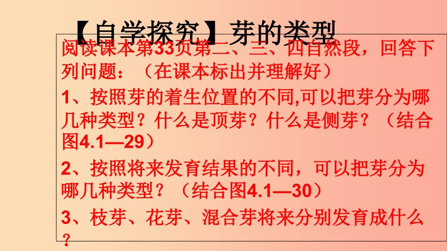 2019年八年级生物上册 4.1.6《芽的类型和发育》课件1（新版）济南版.ppt_第3页