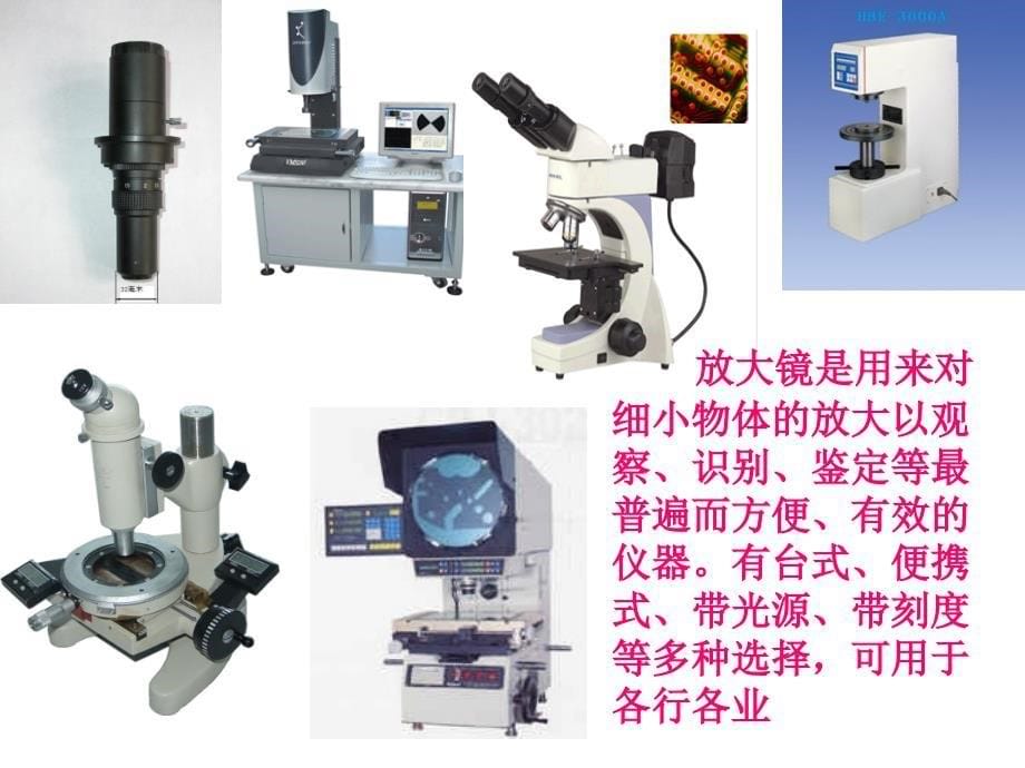 玩出了名堂执教者曾望乐_第5页