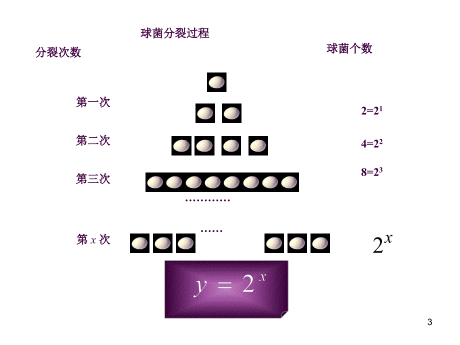 高中数学比赛指数函数ppt课件_第3页