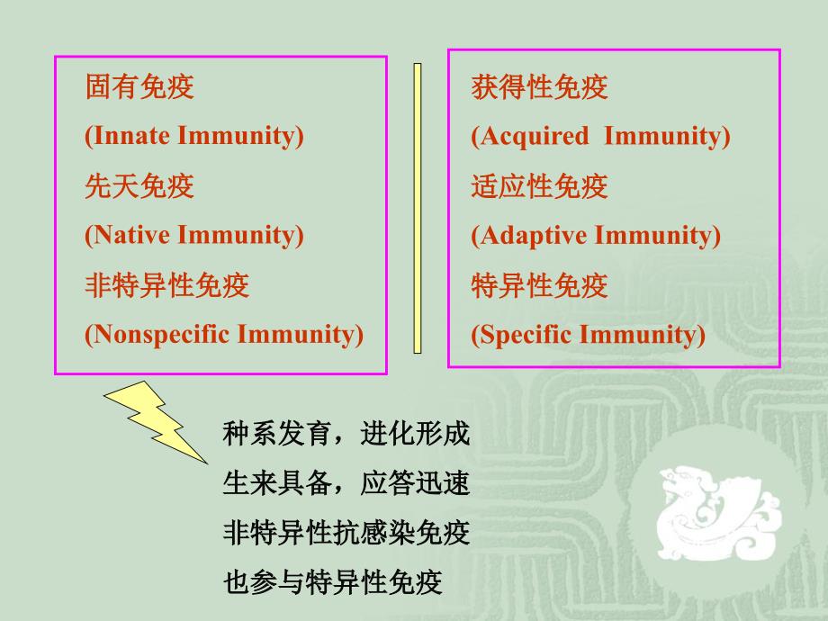 免疫学固有免疫PPT课件_第2页