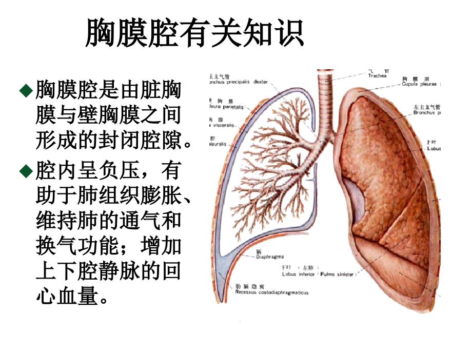 胸腔闭式引流的观察与护理_第3页