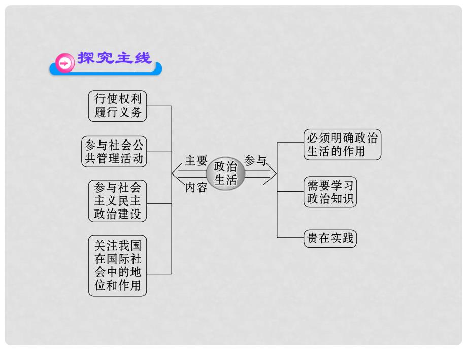 高中政治 113《政治生活：积极参与 重在实践》学习方略课件 新人教版必修2_第3页