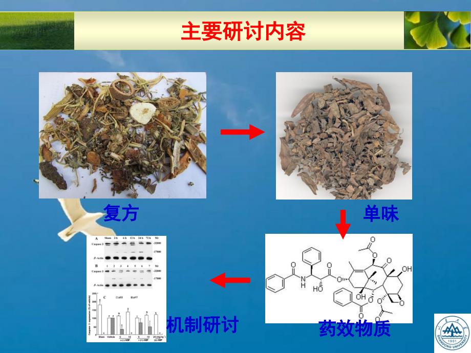 医学中药抗肿瘤研究ppt课件_第4页