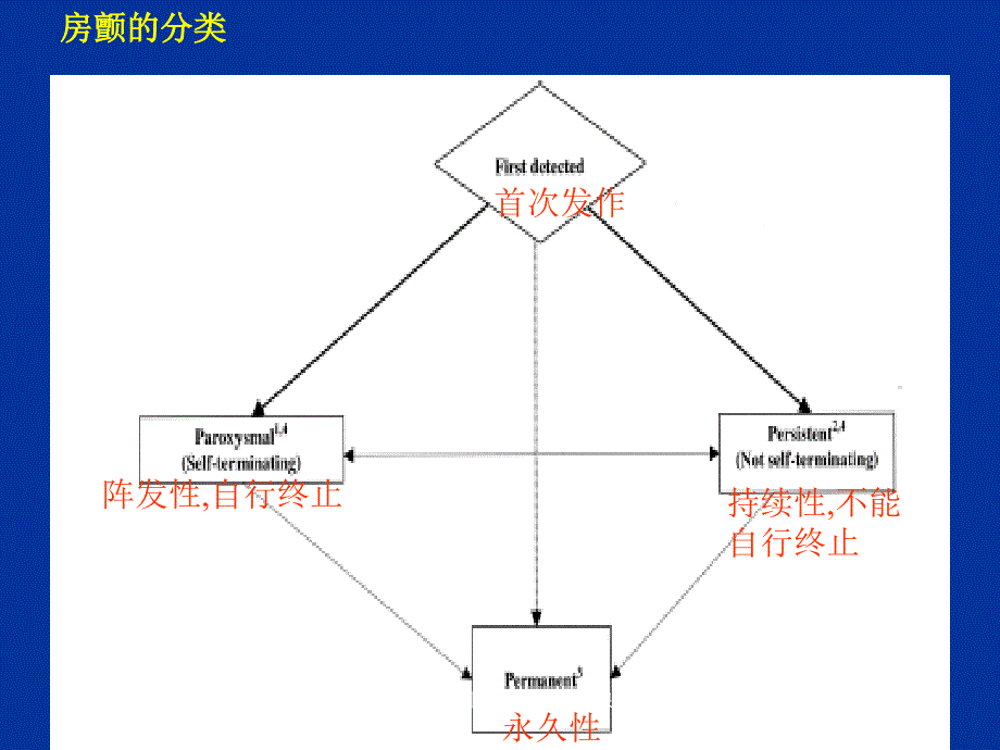 房颤的药物治疗_第3页