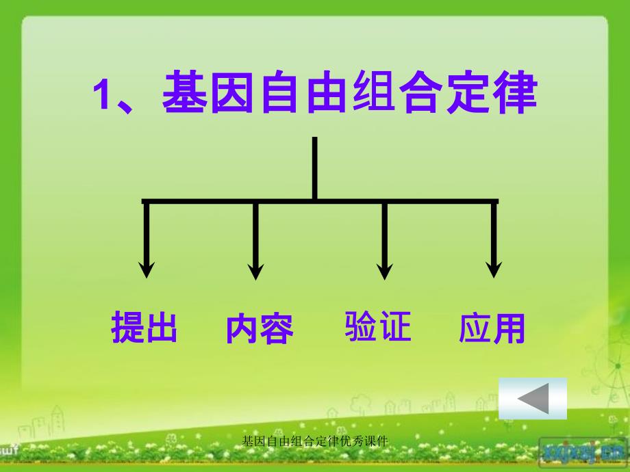 基因自由组合定律课件_第4页