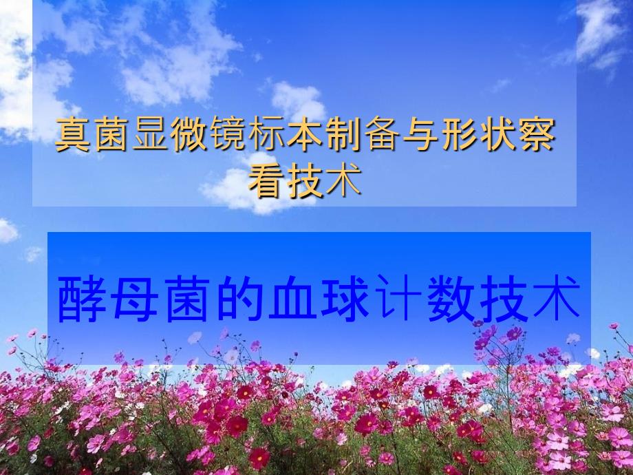 真菌显微镜标本制ppt课件_第1页
