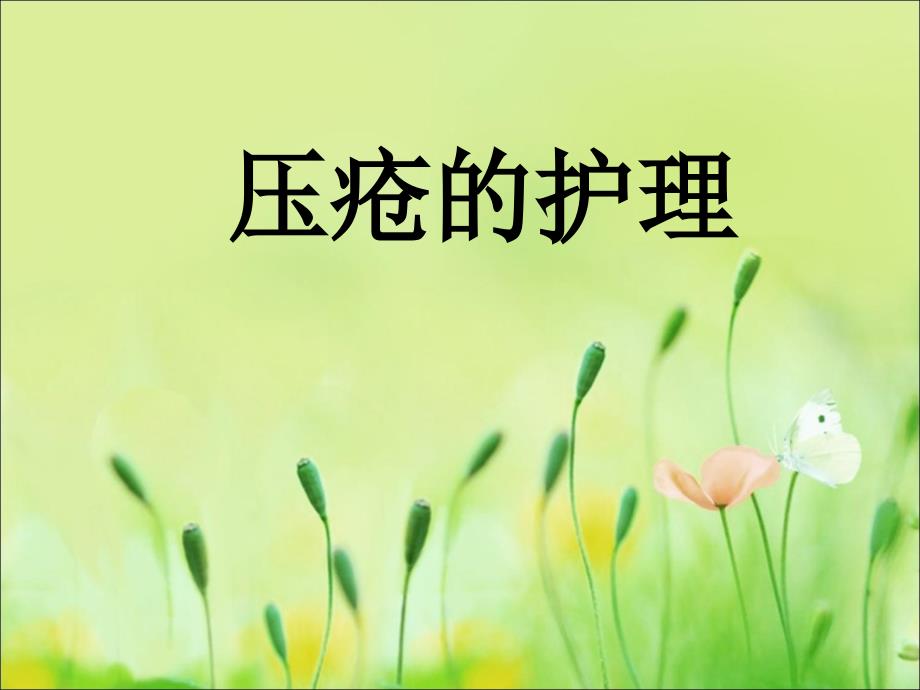 《压疮的护理》PPT课件.ppt_第1页