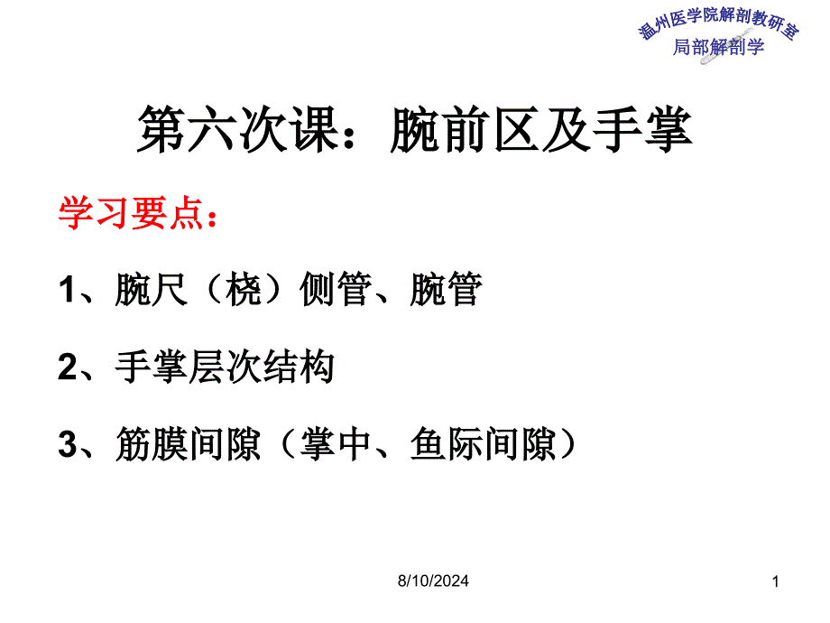 《局部解剖学 》教学课件：6_腕和手掌_第1页