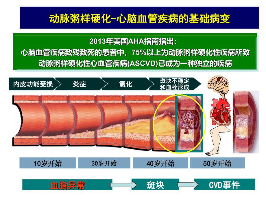 血脂异常的危险分层与治疗_第3页