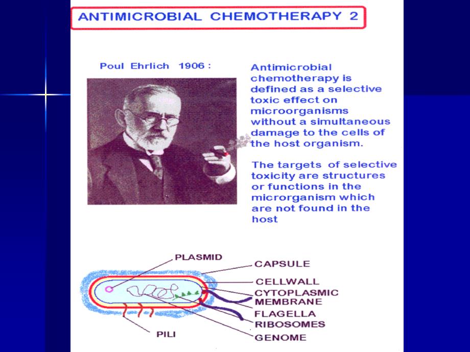 AntibioticsEnglish分析_第3页