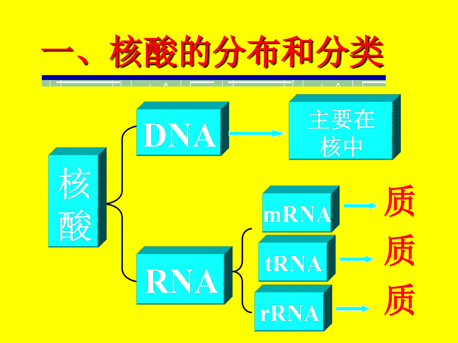 核酸化学改课件_第2页