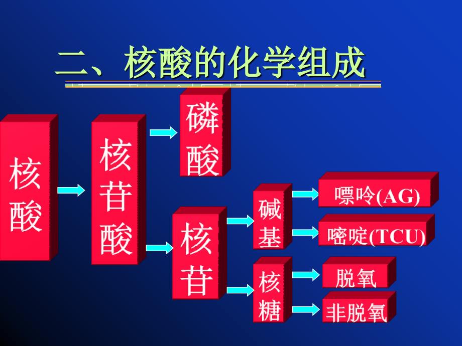 核酸化学改课件_第3页