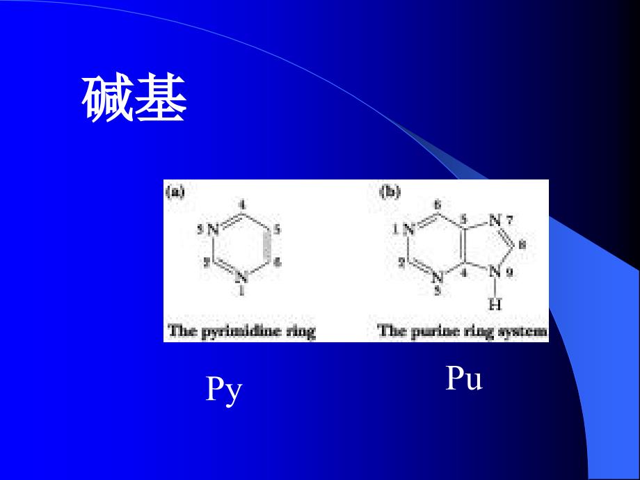 核酸化学改课件_第4页