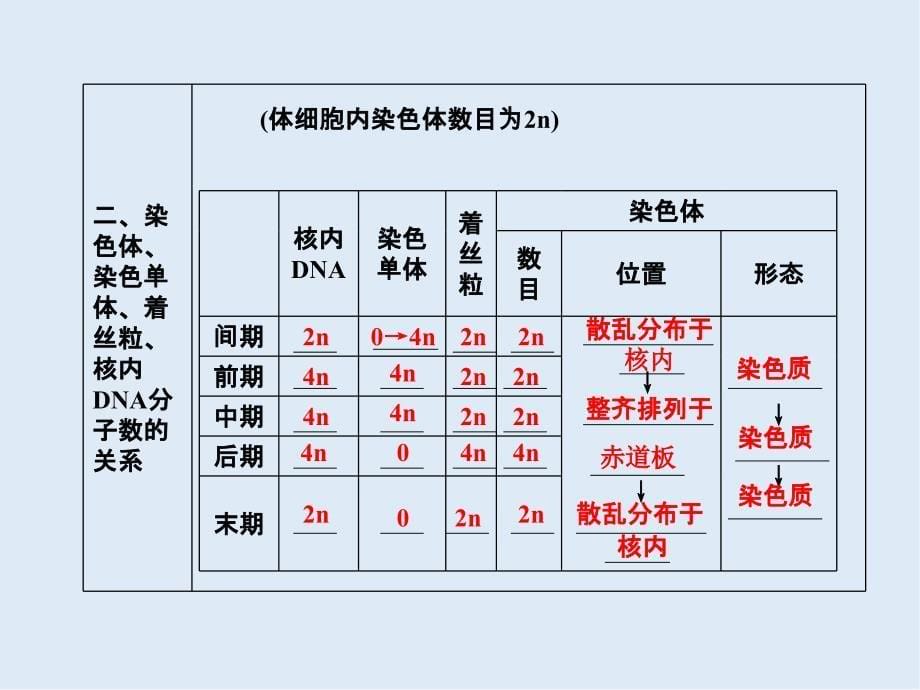 高一生物苏教版必修1课件：5.1.2观察植物细胞的有丝分裂和无丝分裂_第5页