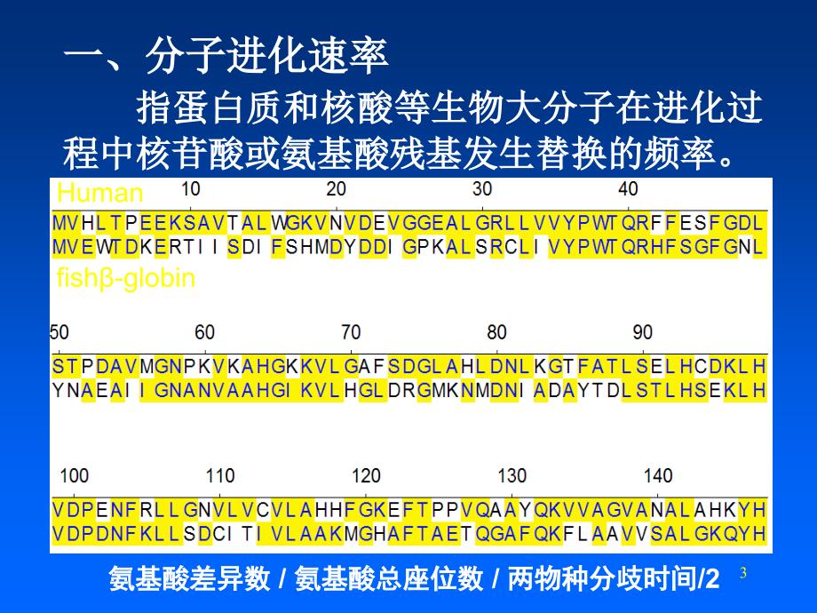 比较基因组与分子进化_第3页