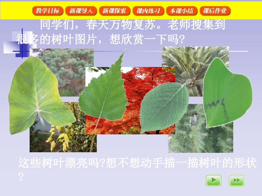 沪教版数学三下5.1周长课件6_第4页