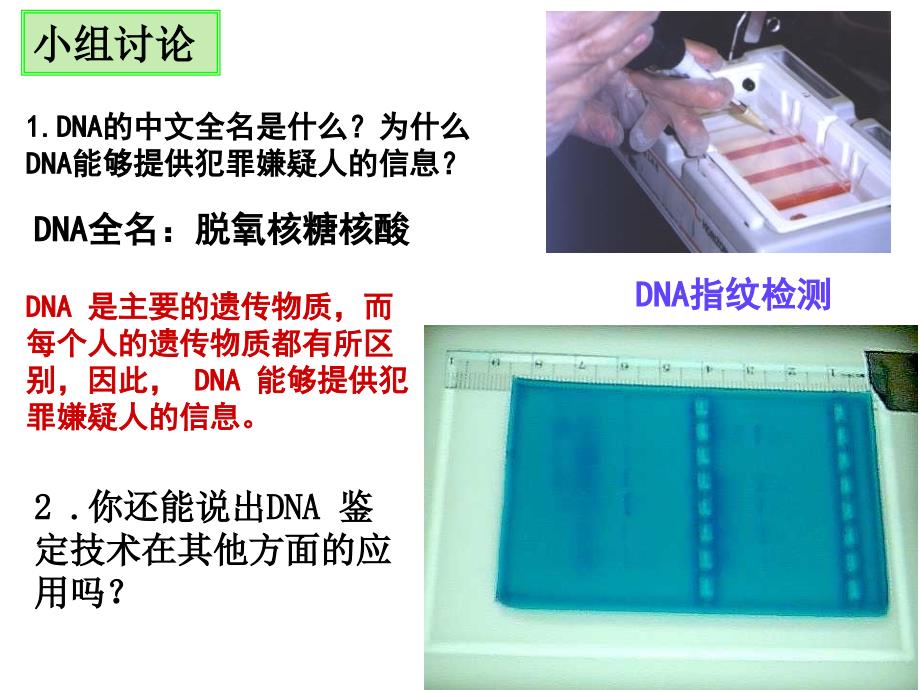 人教版高中生物必修一第二章第3节遗传信息的携带者核酸优秀课件25张5共25张PPT_第2页